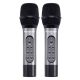 WM906 Dual Professional 900 MHz UHF Wireless Handheld Microphones with Rechargeable Batteries