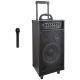 Wireless Portable Bluetooth(R) PA Speaker System
